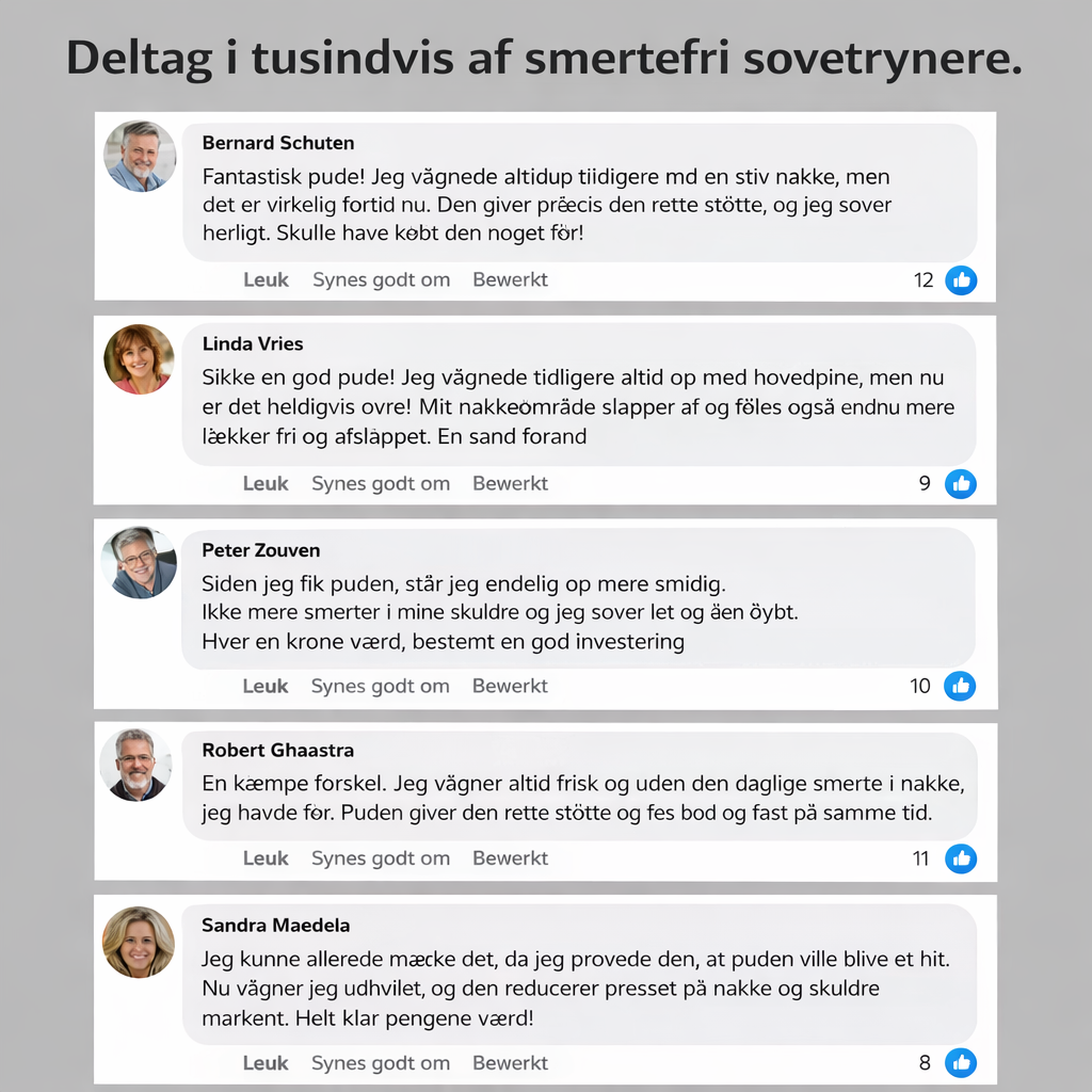Lunava™ Ergonomisk Pude